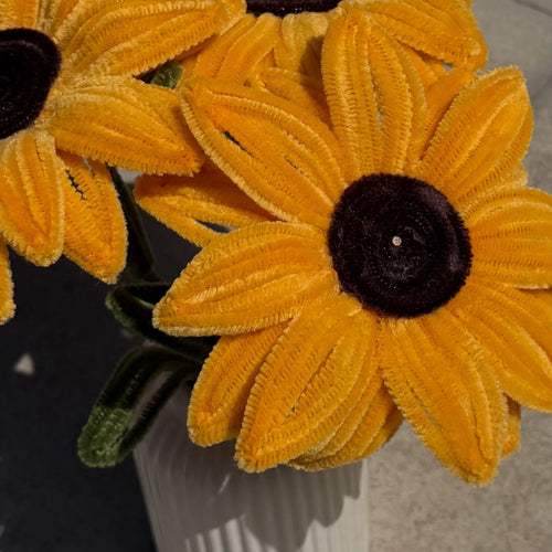Close-up of yellow flowers with black centers on a blurred background